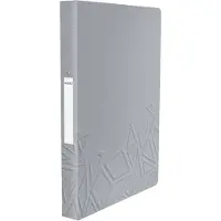 Leitz Urban Chic PP Ringband 2-Rings Voor 140 Vel - Map voor A4 Documenten - 20mm - Ideaal Voor School Of Studie - Donkergrijs