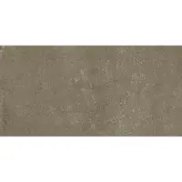 Alvoro Tegel 60 x 120 cm - Taupe - Keramiek - Rechthoekig - 2 stuks - 1,44 m2 - Betonlook - Wandtegels - Tegels -
