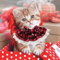 Markenlos Kerstcollantjes voor katten - 3 stuks met belletjes, feestelijk rood, groen en zwart geruit ontwerp, perfecte kerstdecoratie voor huisdieren