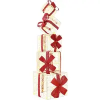 vidaXL Geschenkdoos kerstdecoratie 5 st 125 LED's Warmwit