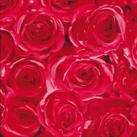 2lif Roses Zelfklevende Folie Mini rol multi 45cmx2mtr
