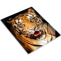 Wallfluent Glazen Snijplanken - Wilde Tijger Snijplanken Glas - 30 cm x 40 cm - Oranje Snijplanken van Glas - Glazen Hakplank - Design Glazen Snijplank Keuken - Antislip Keuken Snijplank Glas