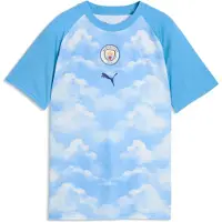 Puma Functioneel shirt 'Manchester City' pastelblauw / wit