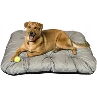Dogs 4 Life XL Hondenbed 120x90cm Waterdicht Comfortabel Kussen Grijs