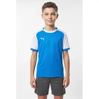 Puma Functioneel shirt 'Teamliga26 Matchday' blauw / wit