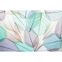 Karo-art 300cm X 210cm - Fotobehang - Kleurrijke doorschijnende bladeren, 11 maten, Mooie lichte kleuren, inclusief behanglijm