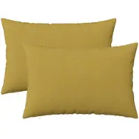 vidaXL Kussensloop 2 st HEERLEN Lichtgroen 40 x 60 cm Stof