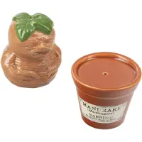 Paladone Harry Potter - Mandrake and Plant Pot Salt and Pepper Shakers