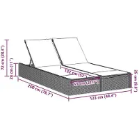 vidaXL Dubbele ligbed met kussen, lichtgrijs, polyrotan