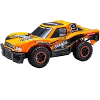 Ninco Radio Control Radical Goud
