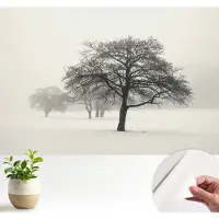 Wallfluent Zelfklevend Fotobehang - Wit Vliesbehang - 104x70 cm - Winterbomen Fotobehang - Hal behang Landschappen - Polyester Behang - Luchtbelvrij Behang