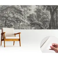Wallfluent Zelfklevend Fotobehang - Zwart-Wit Vliesbehang - 250x104 cm - Boslandschap Fotobehang - Hal behang Landschappen - Bubble Free Behang - Makkelijk Aan Te Brengen Behang
