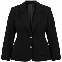 Trendyol Dames Zwart Effen Lang, Getailleerd Grote maten Blazers