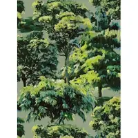A.S. Création BOS BEHANG | Woonkamer - Groen - Pintwalls III