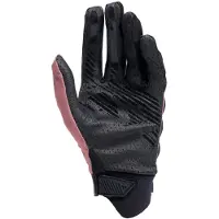 Dainese Hgr Ext Handschoenen