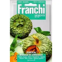 Franchi - Zucca marina di Chioggia - Pompoen /squash groen