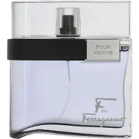 Salvatore Ferragamo S. Ferragamo F By Ferragamo, zwarte eau de toilette, 100 ml