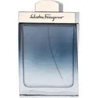 Salvatore Ferragamo - S. Subtil Pour Homme 100 ml Eau de toilette Heren