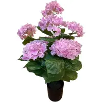 Mansion Atmosphere Kunstplant Hortensia lichtroze 65cm roze Kunststof Kunstplant