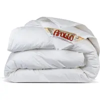 Fabiola Apollo Dekbed - 4 Seizoenen Donzen Dekbed 240x220 - Extra Luxe en Lichtgewicht donsdeken - Voldonzen Zomerdekbed & Winterdekbed - 240x220 cm Lits-Jemeauxdekbed