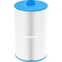 W'eau spafilter type 49 (o.a. SC749 of 8475)