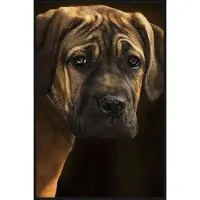 Wandkraft Schilderij - Bordeaux hond - Collectie faces - Forex met zwarte lijst - 98x148cm