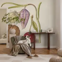 Coloray Vliesbehang - Romig Snellijm Behang - 152x104 cm - Vlinderplant Muurschildering - Slaapkamer behang Bloemen En Planten - Fotobehang Vlies - Gang behang