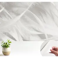 Wallfluent Zelfklevend Fotobehang - Wit Vliesbehang - 104x70 cm - Subtiele Veren Behang Zonder Lijm - Slaapkamer behang Texturen - Makkelijk Aan Te Brengen Behang - Polyester Behang