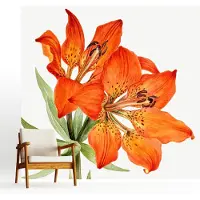 Wallfluent Zelfklevend Fotobehang - Oranje Vliesbehang - 250x250 cm - Oranje Lelie Fotobehang - Woonkamer behang Bloemen En Planten - Polyester Behang - Luchtbelvrij Behang
