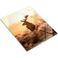 Wallfluent Glazen Snijplanken - Herten In Het Veld Snijplanken Glas - 30 cm x 40 cm - Bruin Snijplanken van Glas - Keuken Snijplank Glas - Snijplank van Glas met Print - Antislip Glazen Snijplank