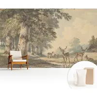 Wallfluent Fotobehang - Beige Vliesbehang - 416x254 cm - Bosvrede Muurschildering - Gang behang Landschappen - Fotobehang Vlies - Slaapkamer behang