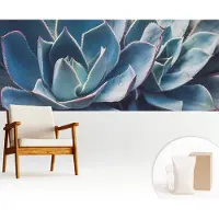 Wallfluent Fotobehang - Blauw Vliesbehang - 250x104 cm - Groene Aloë Muurschildering - Gang behang Bloemen En Planten - Fotobehang Vlies - Slaapkamer behang
