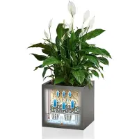 Lechuza Zelfbewaterende Lechuza Anthracite Bloempot (40 x 40 x 76 cm)