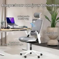 Selius Ergonomische Bureaustoel Grijs-Wit - Kunststof Frame - Standaard Maat - Open Rug