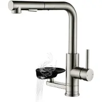 Dripio Keukenmengkraan met geïntegreerde vaatwasser, uittrekbaar, met dubbele uitloop, roestvrij staal
