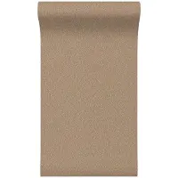 Dutch Wallcoverings Vliesbehang Santa Fé Natures Weave Bronze - 10,5 m x 53 cm - SA524055