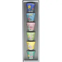 MPLCo Porseleinen theekomjes set van 6, 60ml, voor thee en kruiden