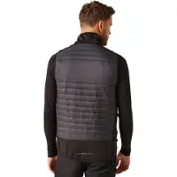 Regatta Heren E-Volve Hybride Thermo Gilet (As/Zwart)