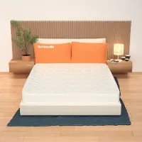 OEM Matras, 160x190 cm, hoogte 25 cm, 9 zones, traagschuim, orthopedisch