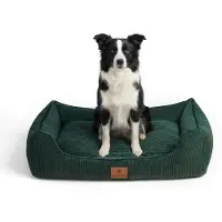 Dripio Hondenbed, 100x70 cm, met verhoogde rand, corduroy, wasbaar, donkergroen