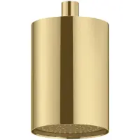Hotbath Cobber hoofddouche met 3 standen en plafondbevestiging messing geborsteld