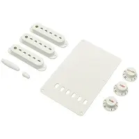 Fender Accessoireset Strat(TM) wit, Accessoires voor instrumenten, Wit