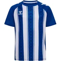 Hummel Functioneel shirt blauw / wit