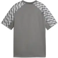 Puma teamLIGA26 Jersey Flock: - Maat: 152