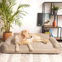 Merkloos Orthopedisch Hondenbed met Glamour Design 98 x 66 cm