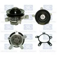 Saleri SIL PA105P Waterpomp