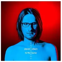 Universal Music Steven Wilson - To The Bone (CD)