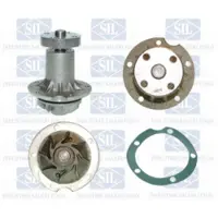 Saleri SIL PA238E Waterpomp