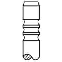 AE V91368 Uitlaatklep