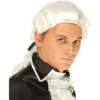 Vegaoo Witte markies pruik voor mannen
